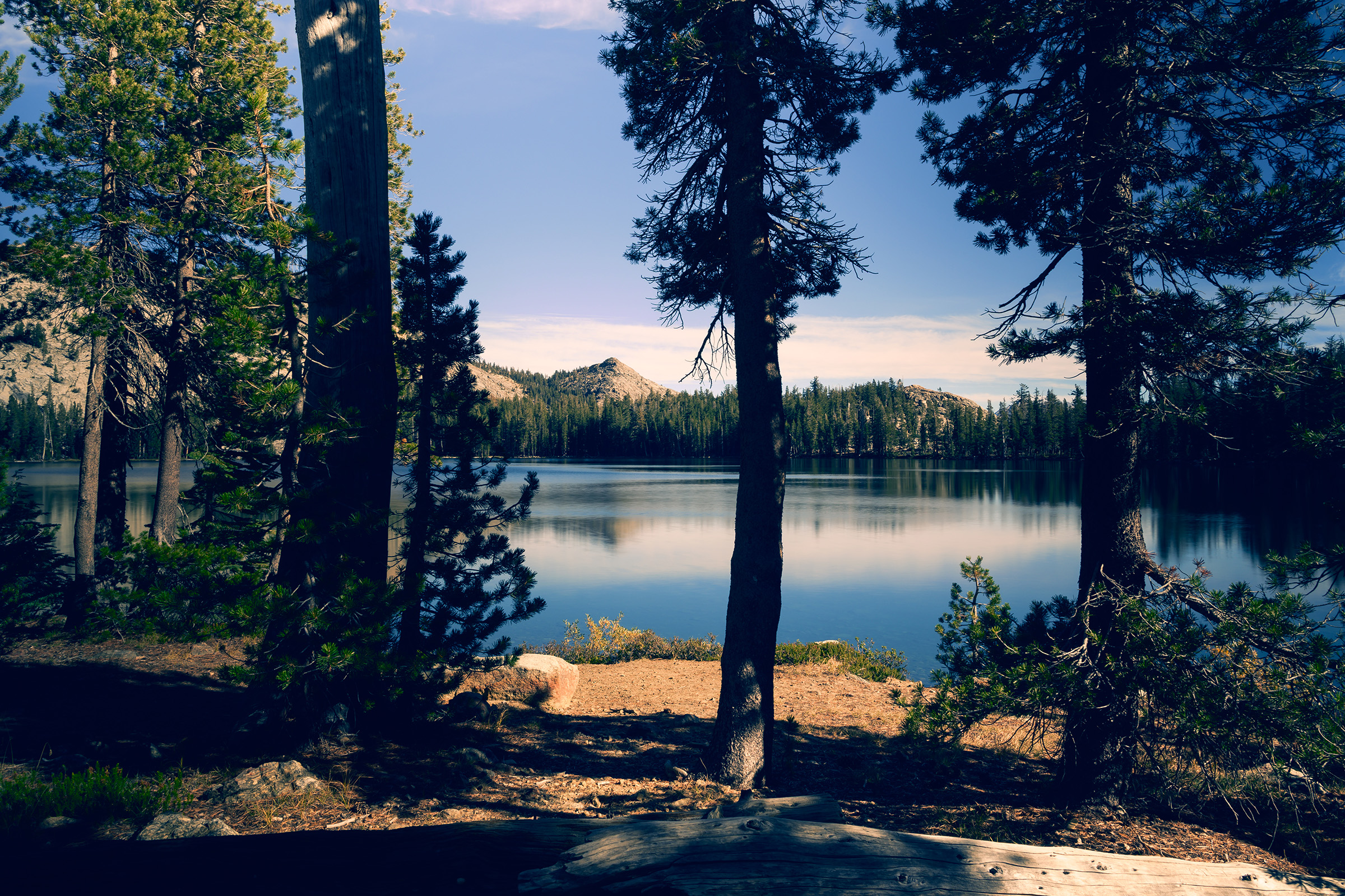 A Quiet Place to Breathe