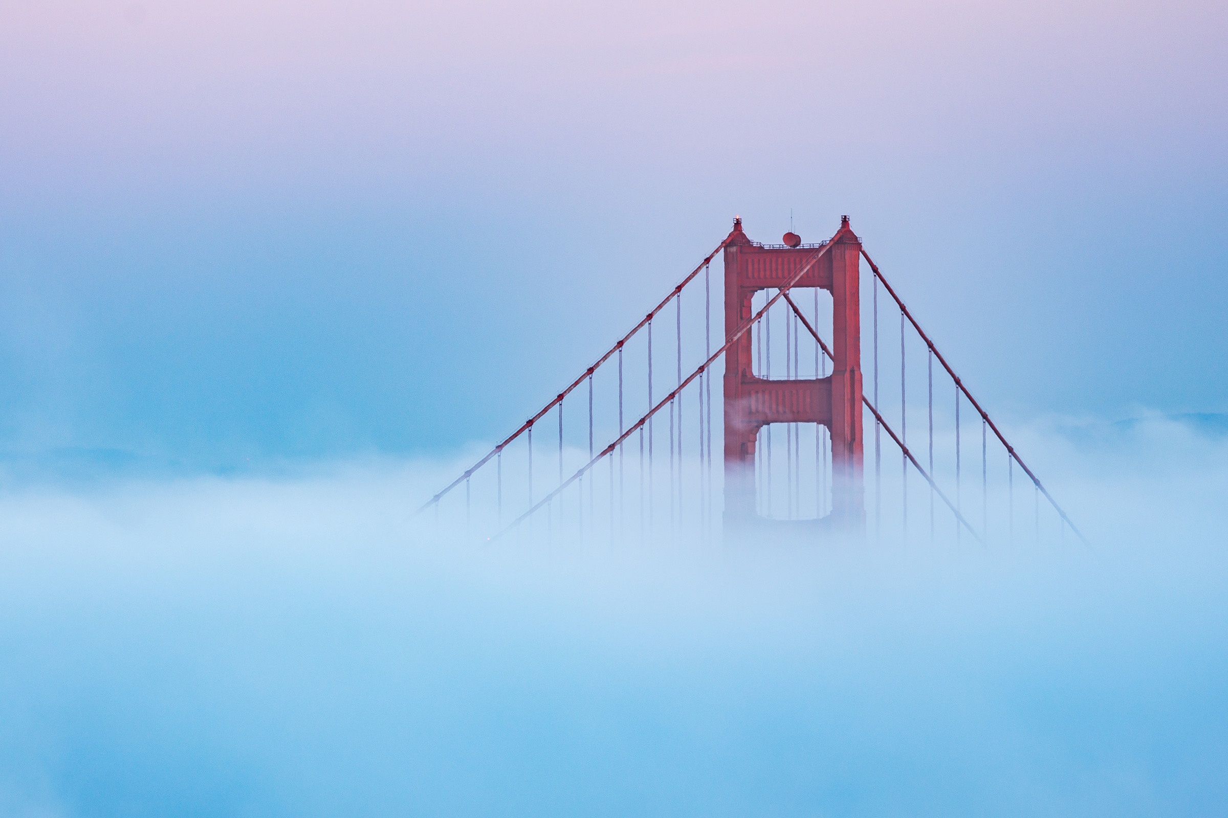 Above the Fog
