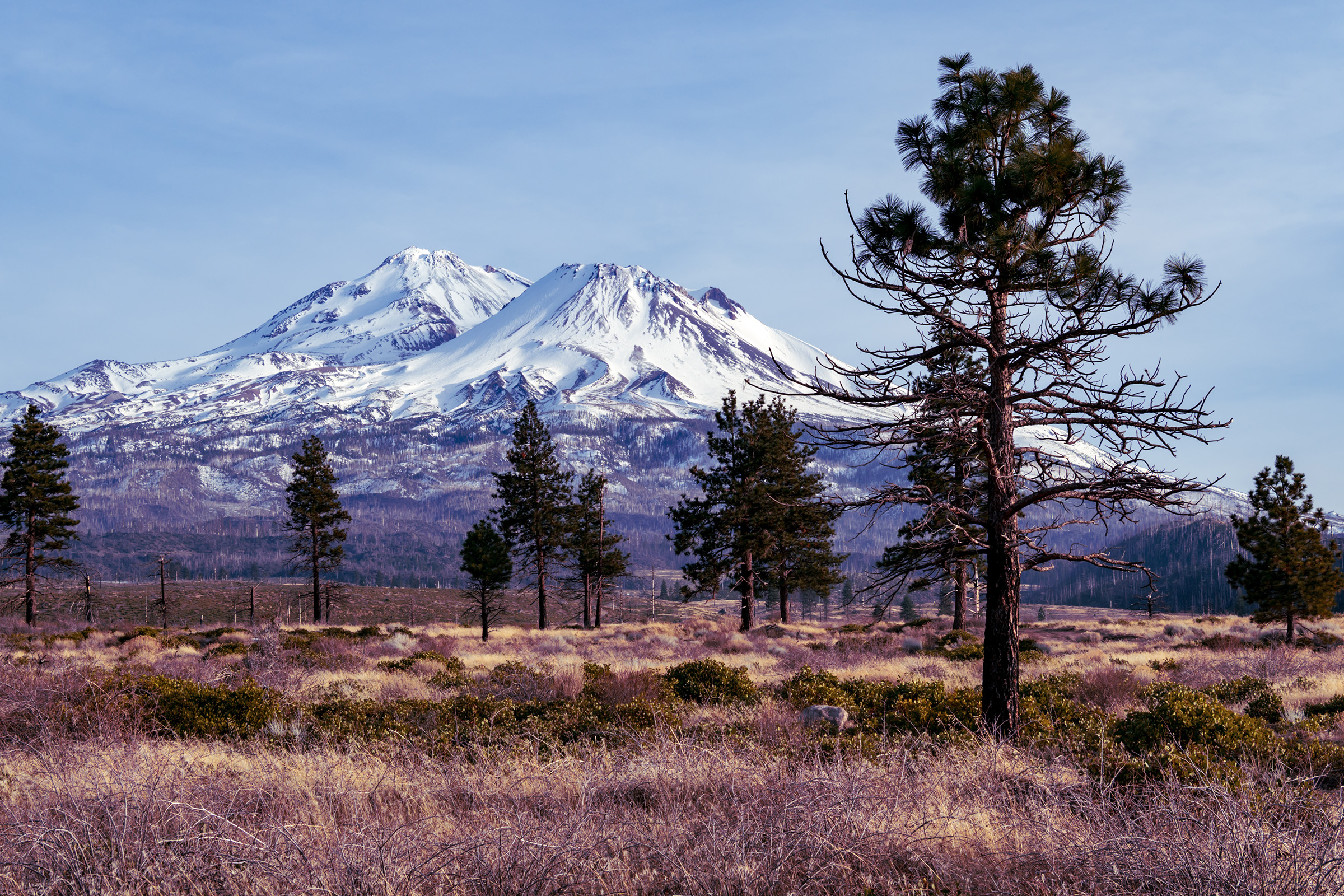 Approaching Shasta