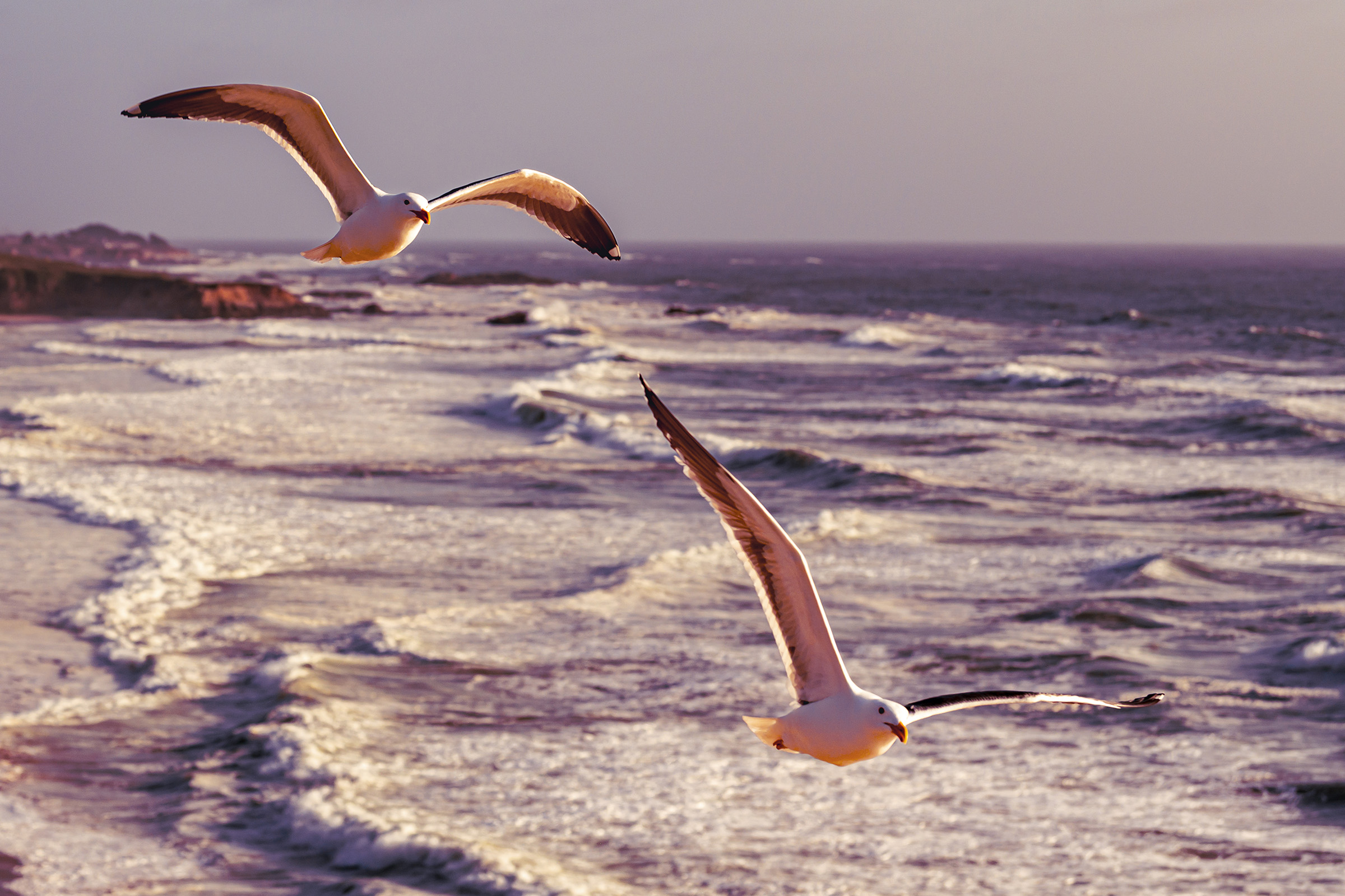 Chasing the Horizon