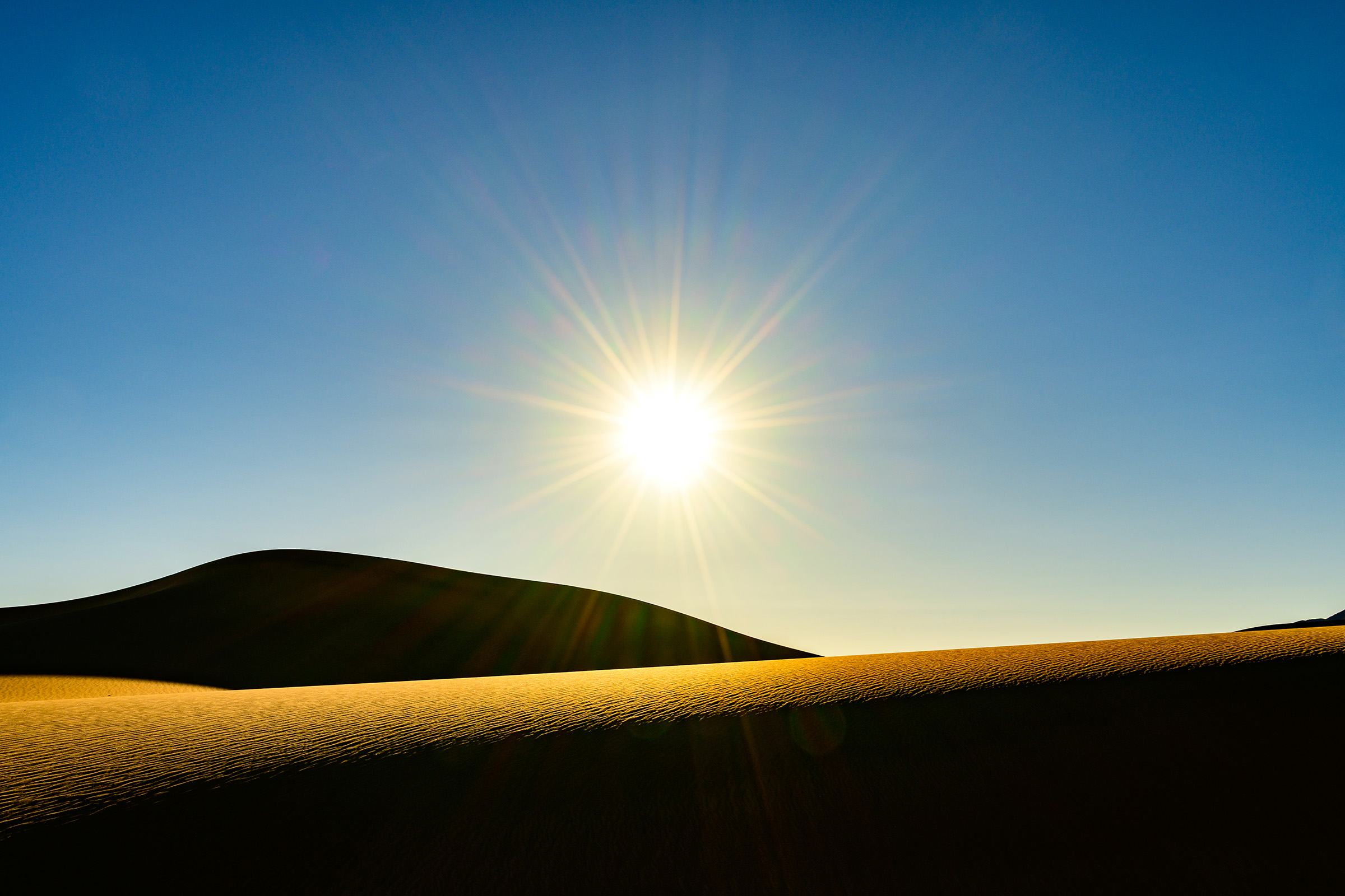Desert Sun
