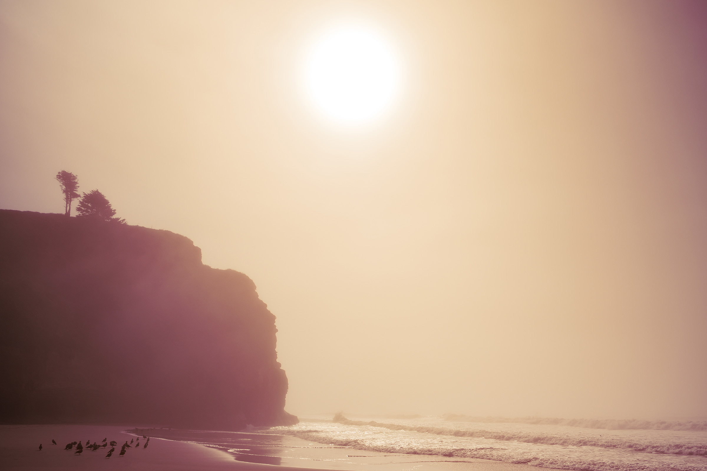 Endless Summer