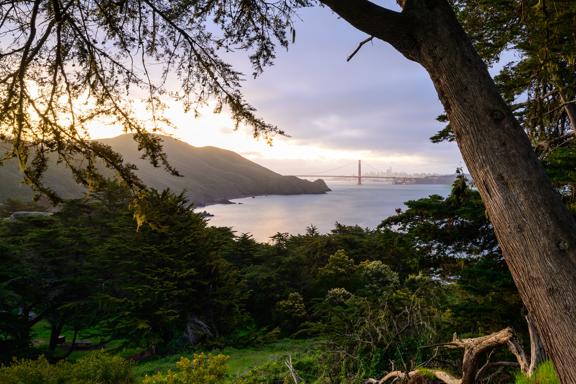 Framed by the Cypress