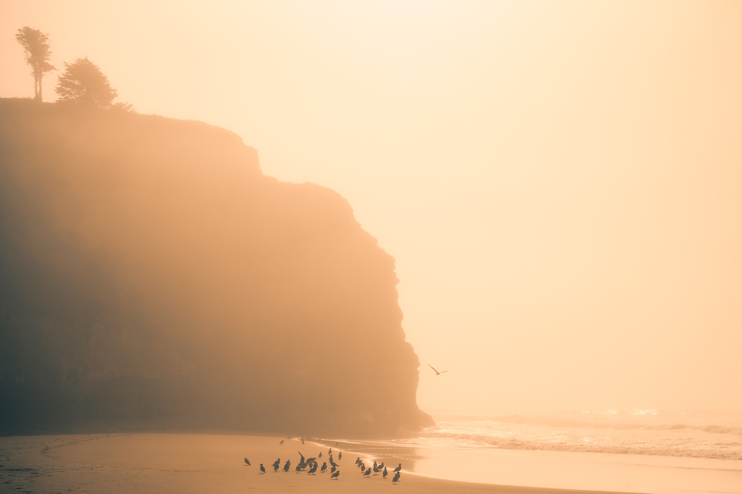 Gathered in the Light