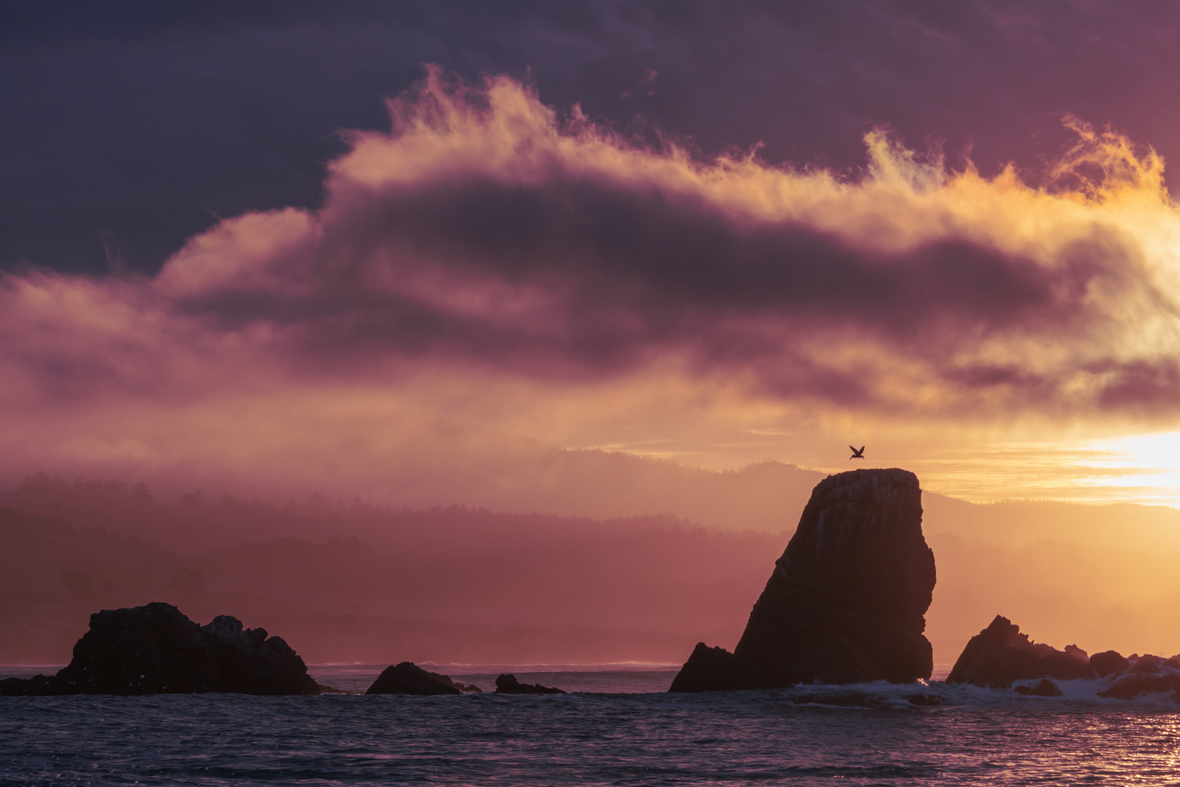 Morning at Whaler’s Cove