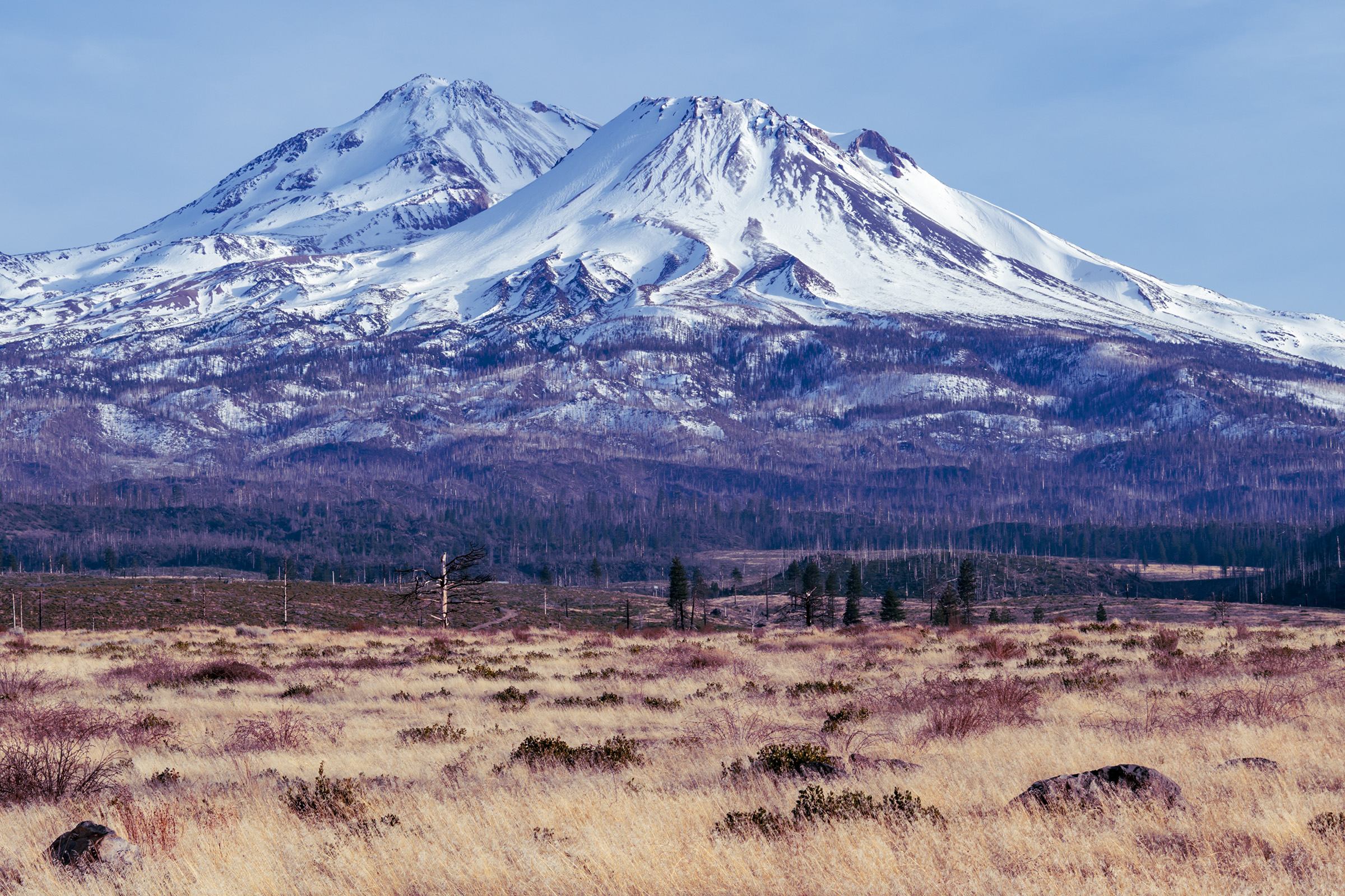 Mt. Shasta