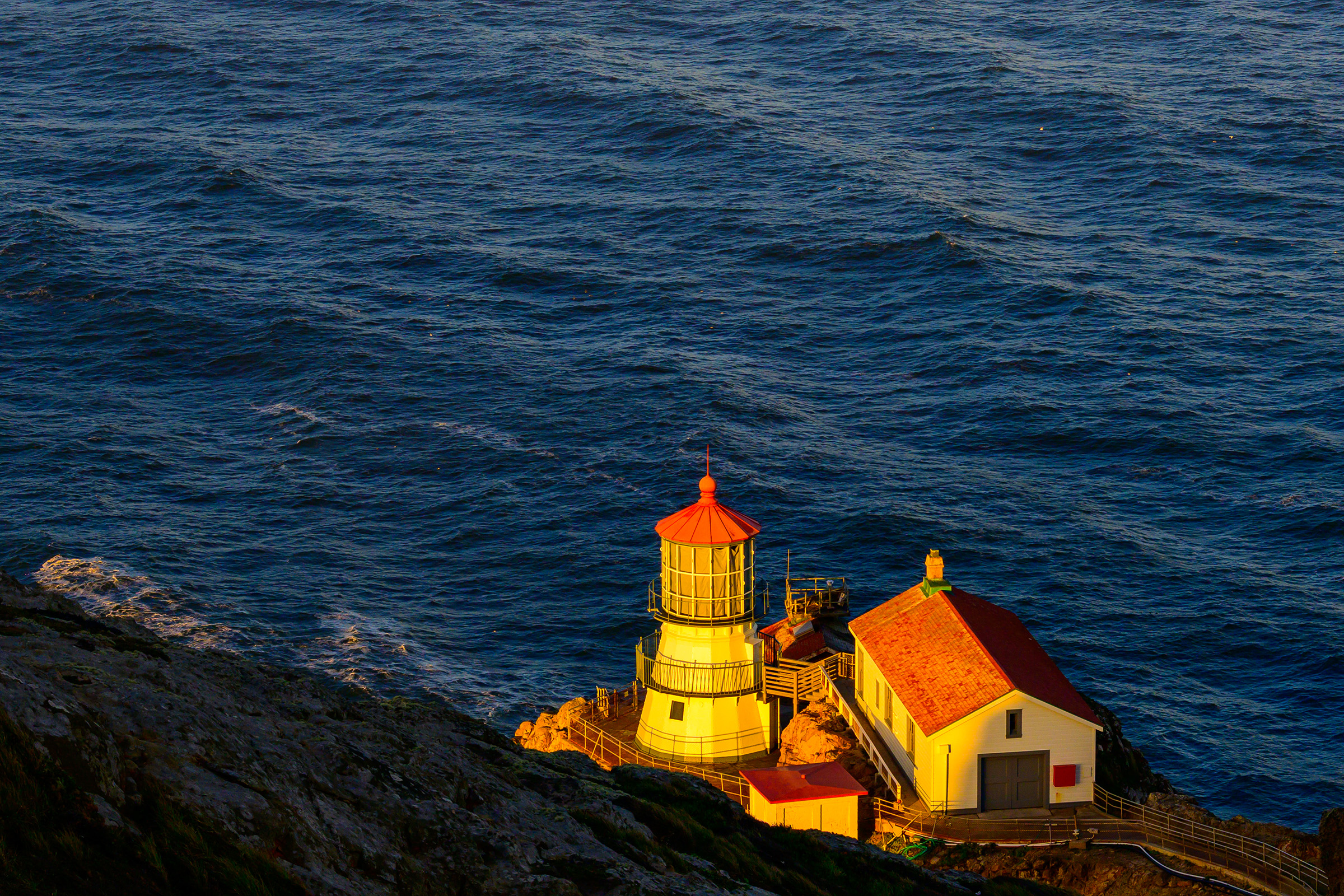 Morning Light
