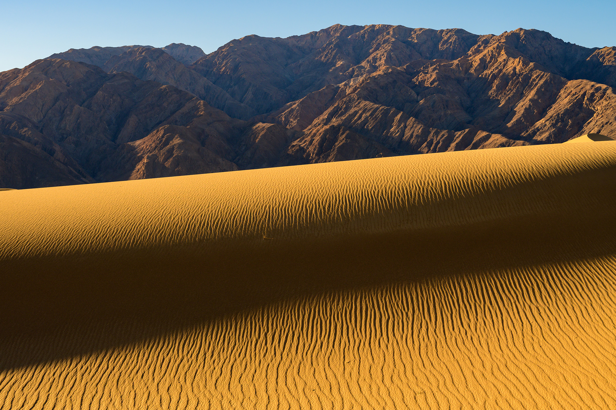 Shadow Across the Dunes