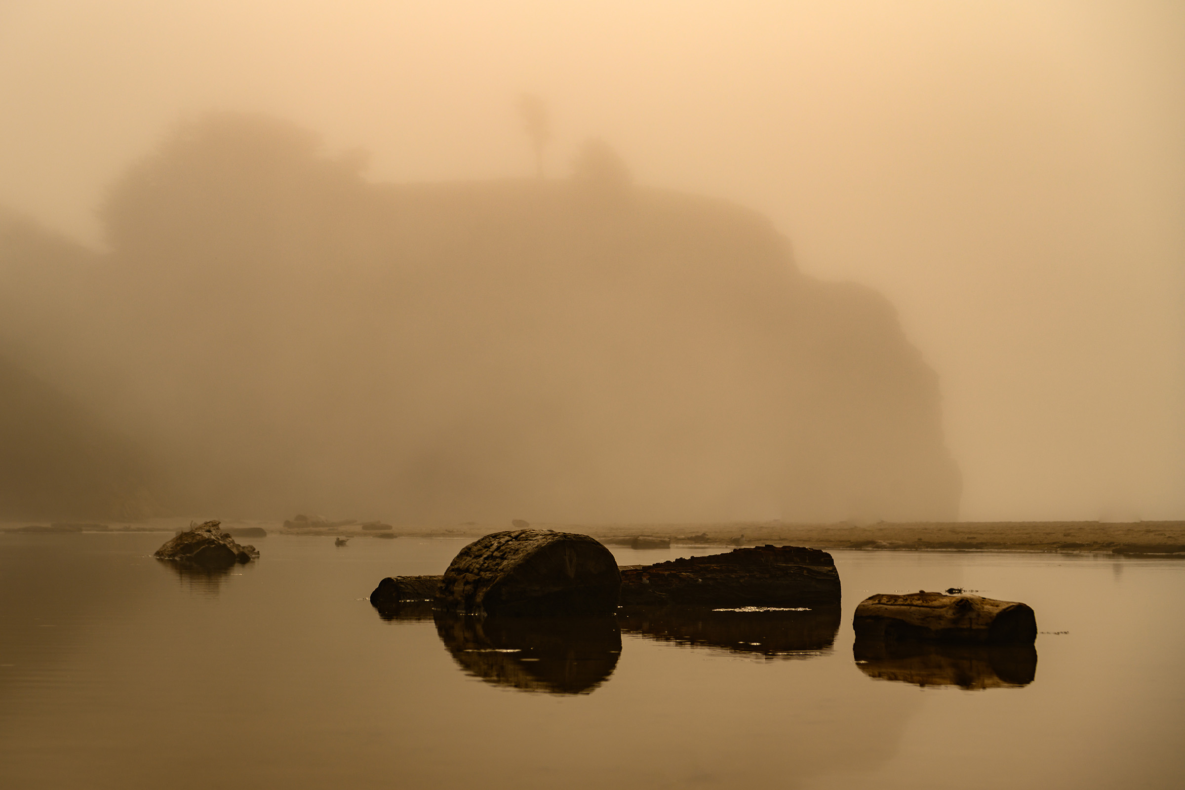 Through the Mist
