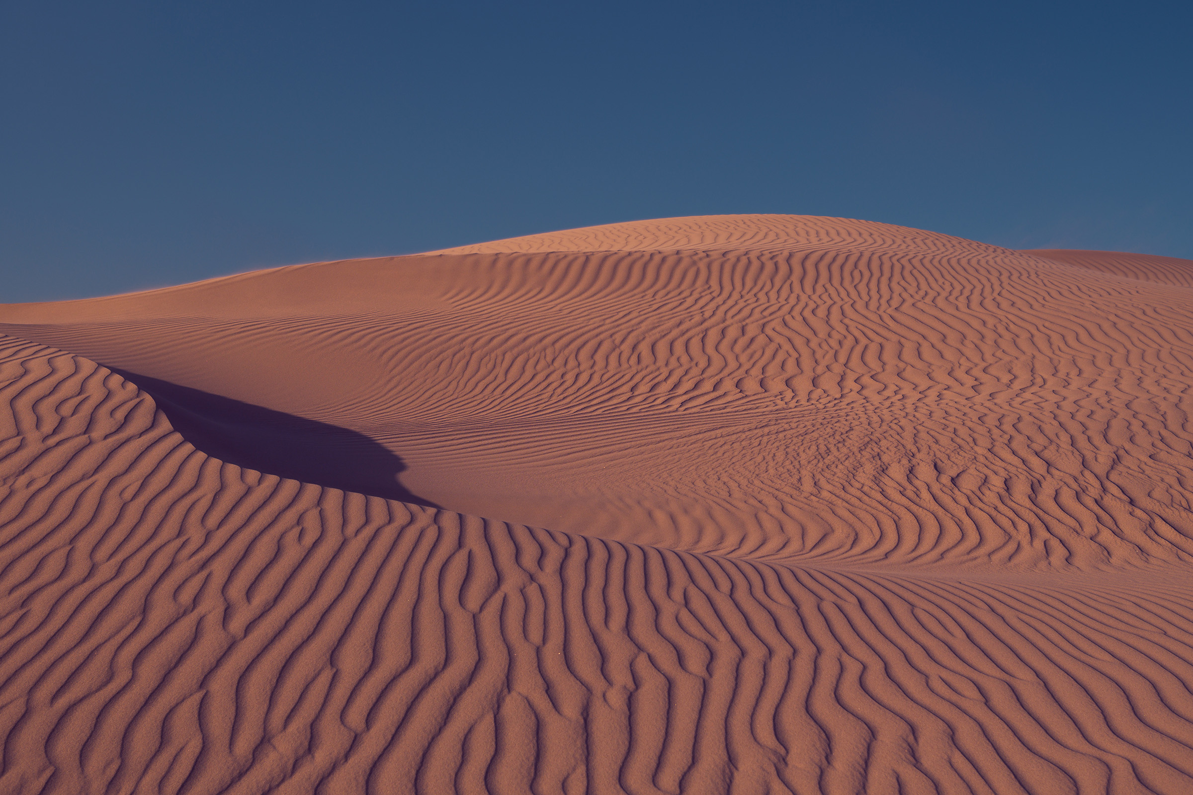 Wind and Light