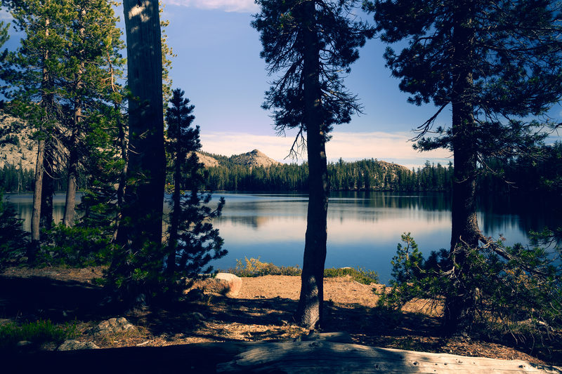 A Quiet Place to Breathe