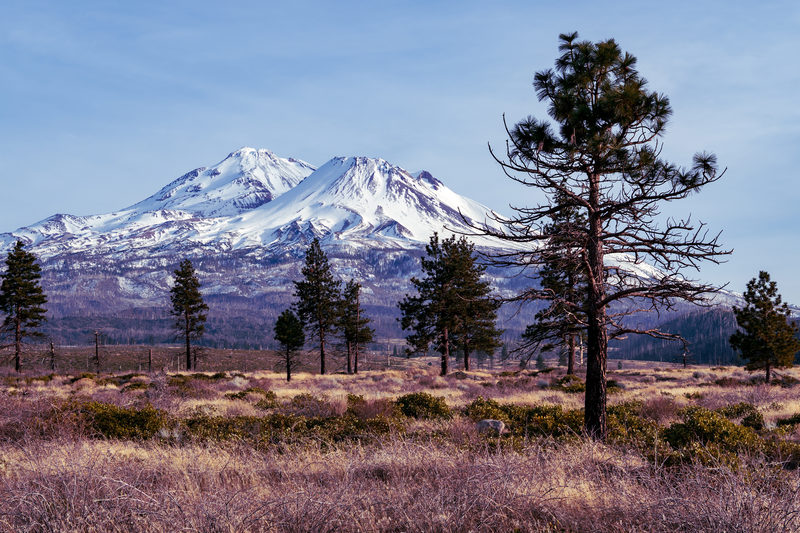Approaching Shasta