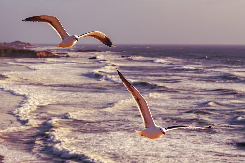 Chasing the Horizon