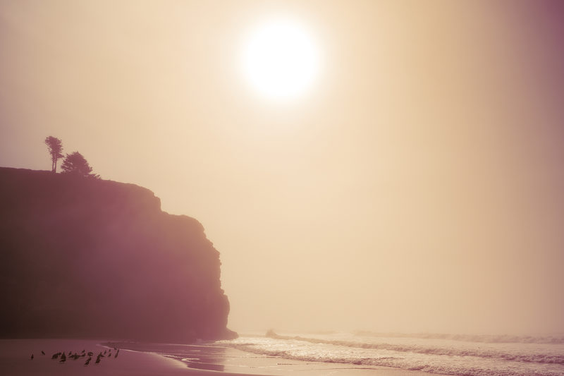 Endless Summer