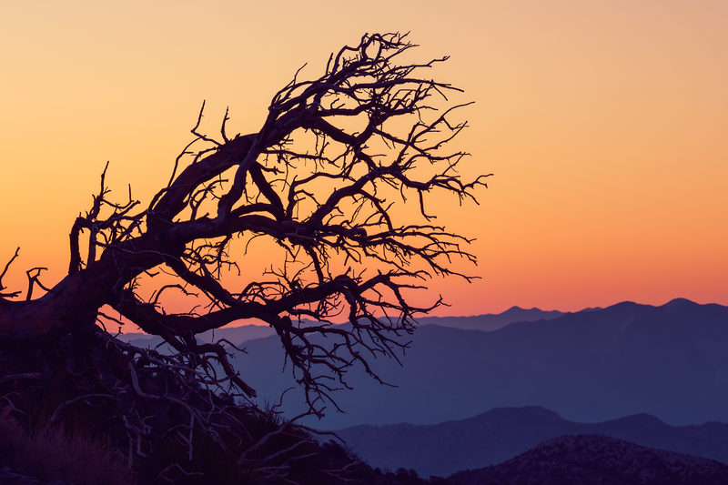 Eternal Sunrise