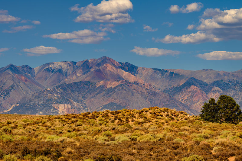High Desert Silence