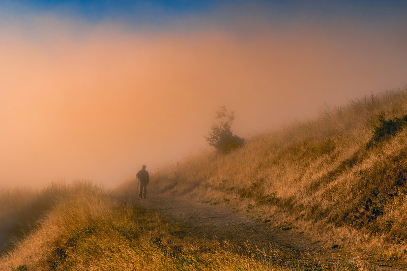 Into the Mist
