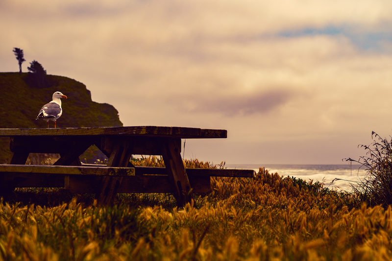 Reserved for Dreamers