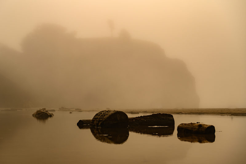 Through the Mist